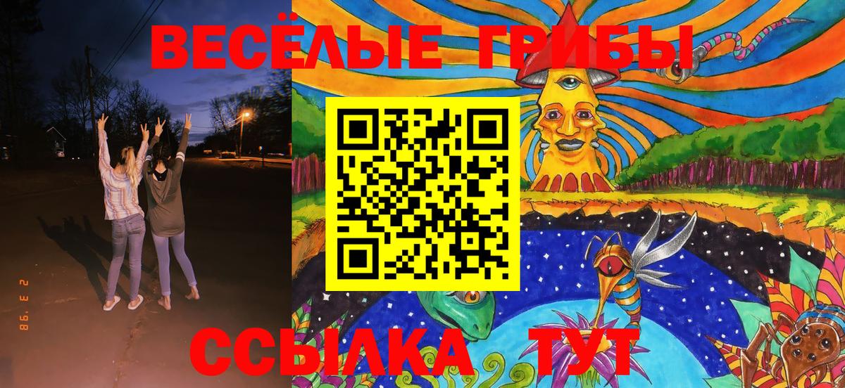 Псилоцибиновые грибы Psilocybine cubensis  Вход с VPN  Мурино 