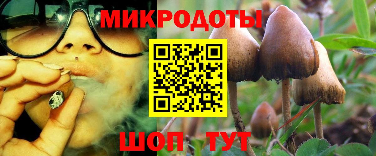 Галлюциногенные грибы Magic Shrooms Мурино